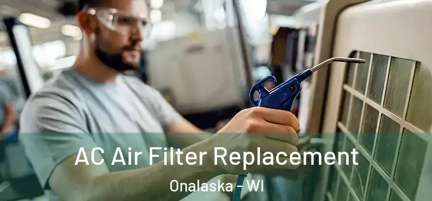  AC Air Filter Replacement Onalaska - WI