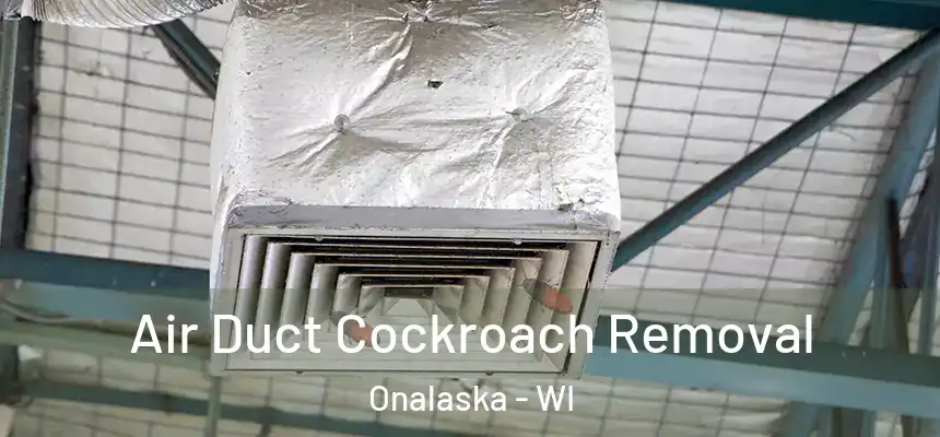  Air Duct Cockroach Removal Onalaska - WI