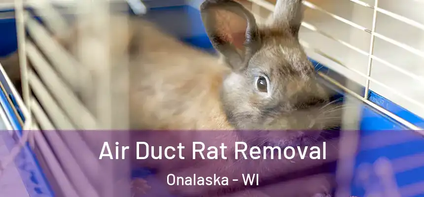  Air Duct Rat Removal Onalaska - WI