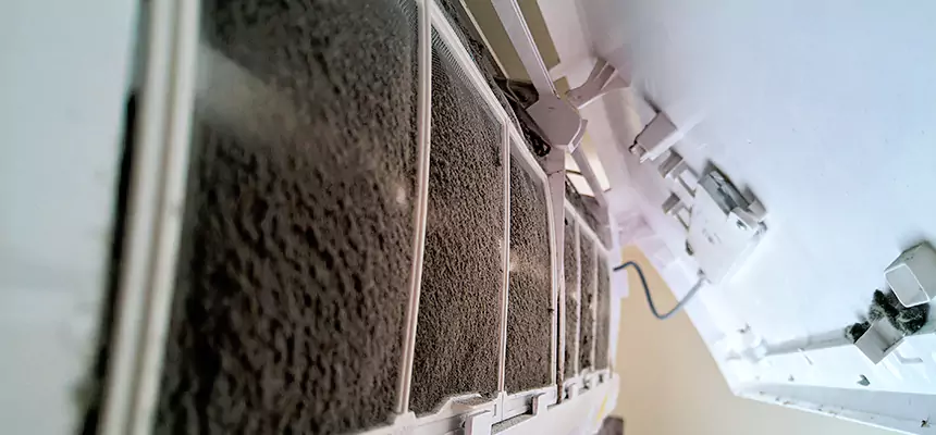 Preventive Air Duct Bacteria Removal in Onalaska