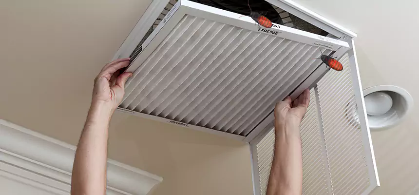 Preventive Cockroach-Proofing for Ducts in Onalaska