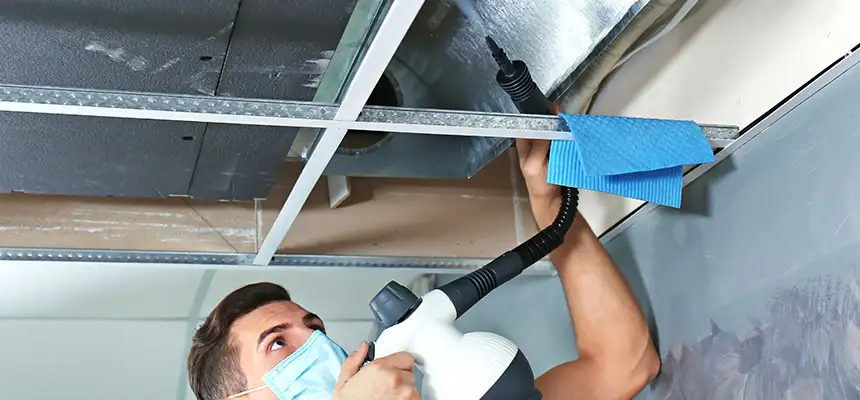 Our Air Duct Rodent Removal Services in Onalaska, WI