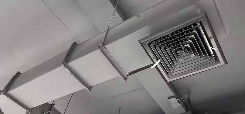 Our Pest Removal From Ducts Services in Onalaska, WI