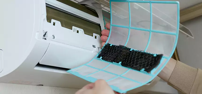 Gentle Ductwork Odor-Control Pet Dander Duct Cleaning in Onalaska, WI