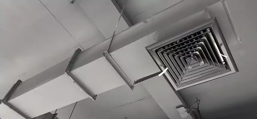 Our Rodent Droppings In Vents Services in Onalaska, WI