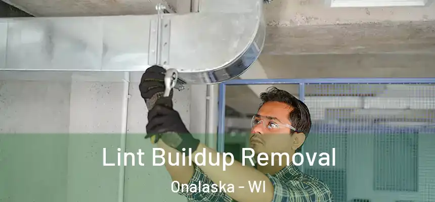  Lint Buildup Removal Onalaska - WI