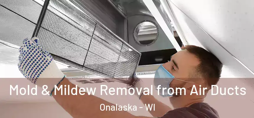 Mold & Mildew Removal from Air Ducts Onalaska - WI