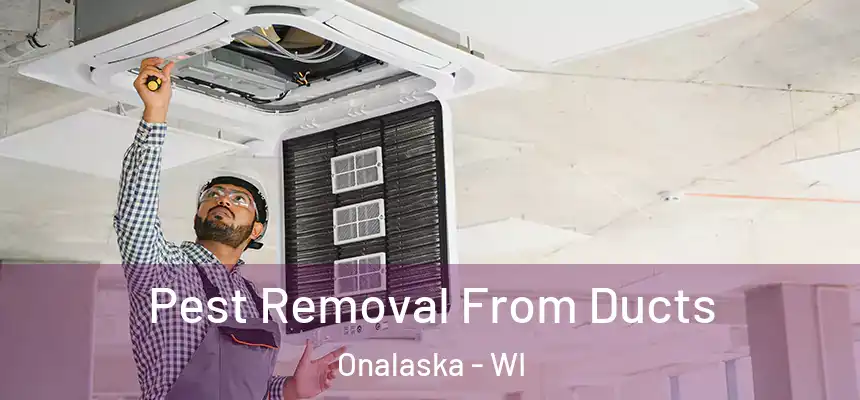  Pest Removal From Ducts Onalaska - WI