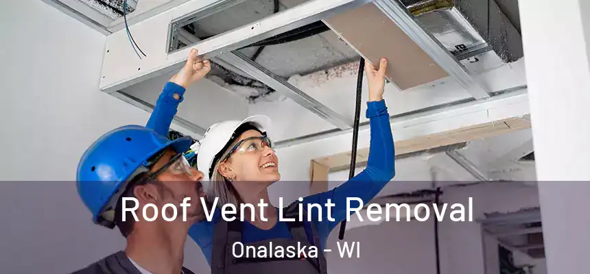 Roof Vent Lint Removal Onalaska - WI