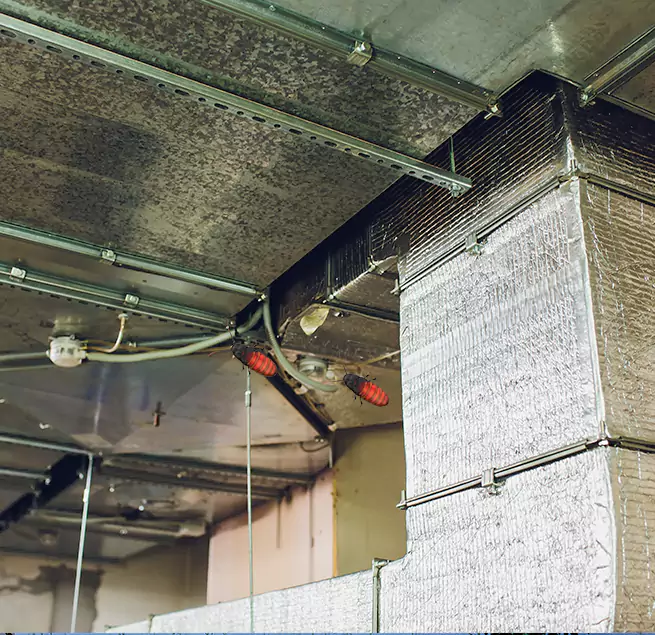 Why Homeowners & Businesses Trust Us in Onalaska, WI?